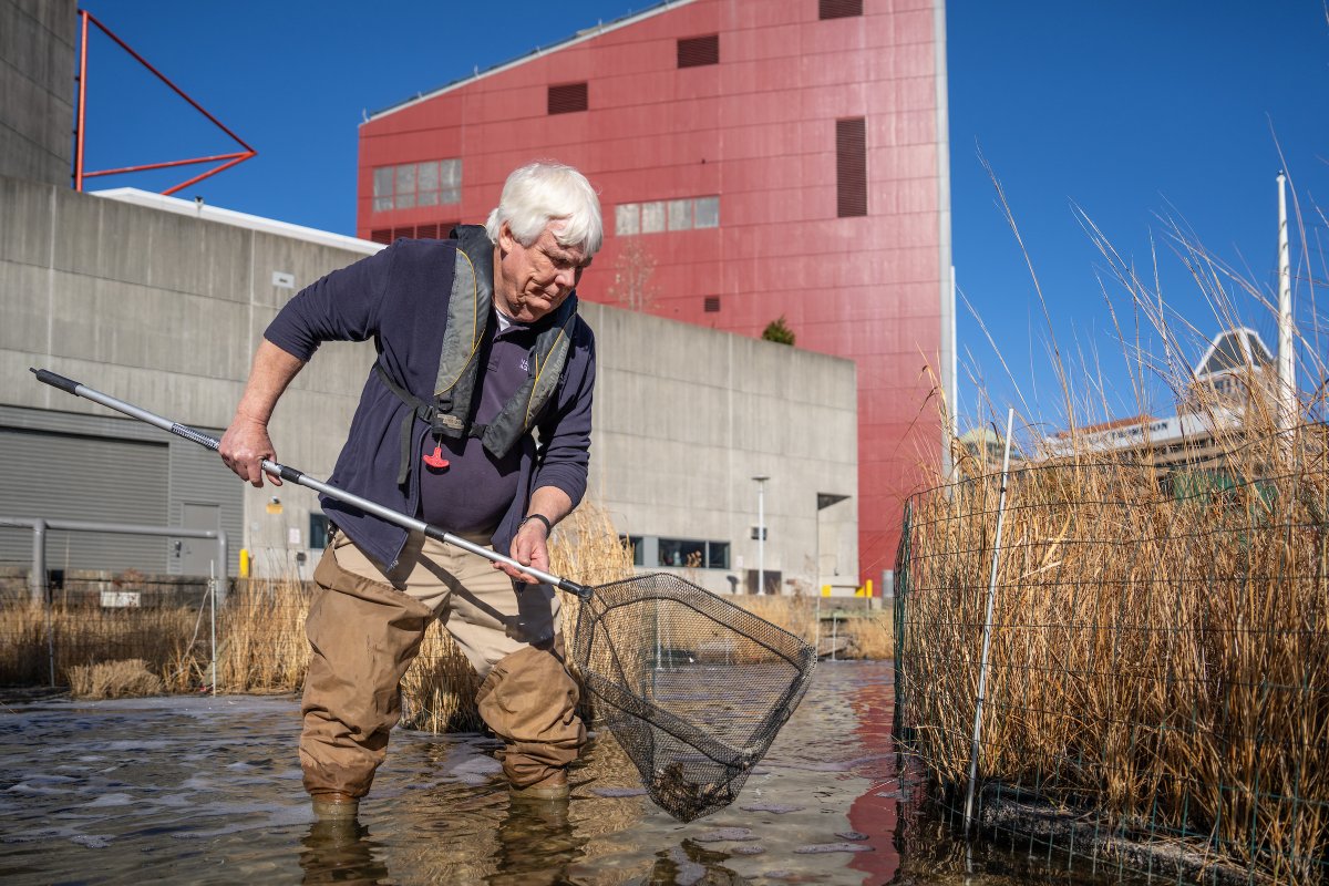 Towson University (@towsonu) on Twitter photo The <a href="/NatlAquarium/">National Aquarium</a> attracts about 1.5 million visitors a year! 1979 TU Alum and man behind the creations of the well-known exhibits tells all as he prepares for retirement.
bit.ly/4dWQpEF The <a href="/NatlAquarium/">National Aquarium</a> attracts about 1.5 million visitors a year! 1979 TU Alum and man behind the creations of the well-known exhibits tells all as he prepares for retirement.
bit.ly/4dWQpEF
