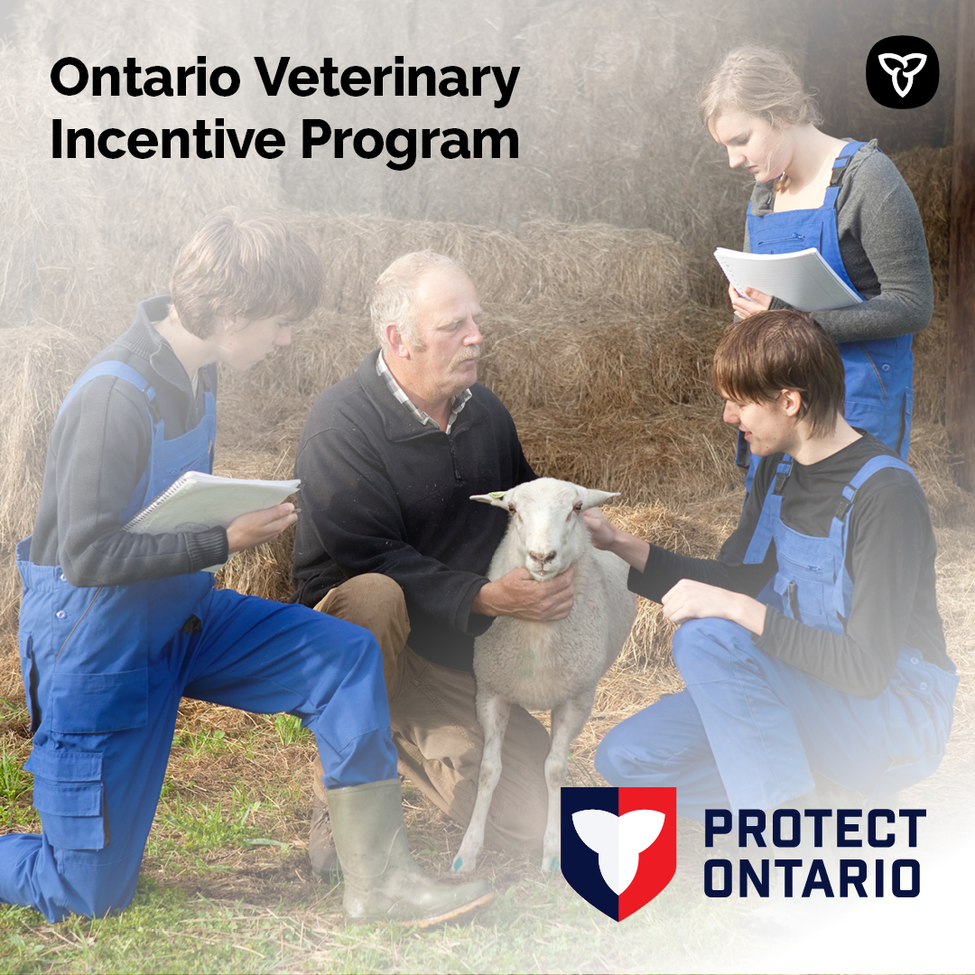 Exciting opportunities for newly licensed veterinarians!
You can now apply for grants to bring essential livestock care to underserviced areas, making a meaningful impact in communities that need it most.
Info: adaptcouncil.org/program/vip
#OntAg