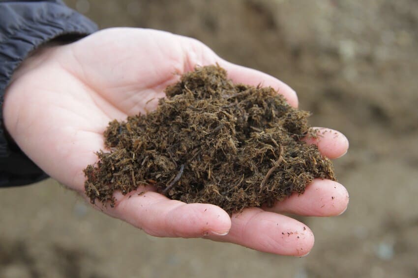 Esta semana hablamos en nuestro blog del digestato, un subproducto resultante de la transformación de residuos orgánicos y que puede tener un gran valor para el mantenimiento de nuestros suelos 🎋🍀.

Podéis leer el artículo completo desde este enlace ⬇️
repuestosfuster.com/blog/digestato…