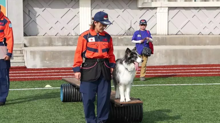 İstanbul’da düzenlenen FCI Dünya Arama Kurtarma Köpekleri Şampiyonası’nda 9 ülkeden 27 köpek yarışıyor.

FCI Komisyonu’ndan Göktan Eker: "Gönüllü sayısı arttıkça, AFAD sınavlarına hazırlanan köpek sayısı da artar. Afet farkındalığı yayılır.”