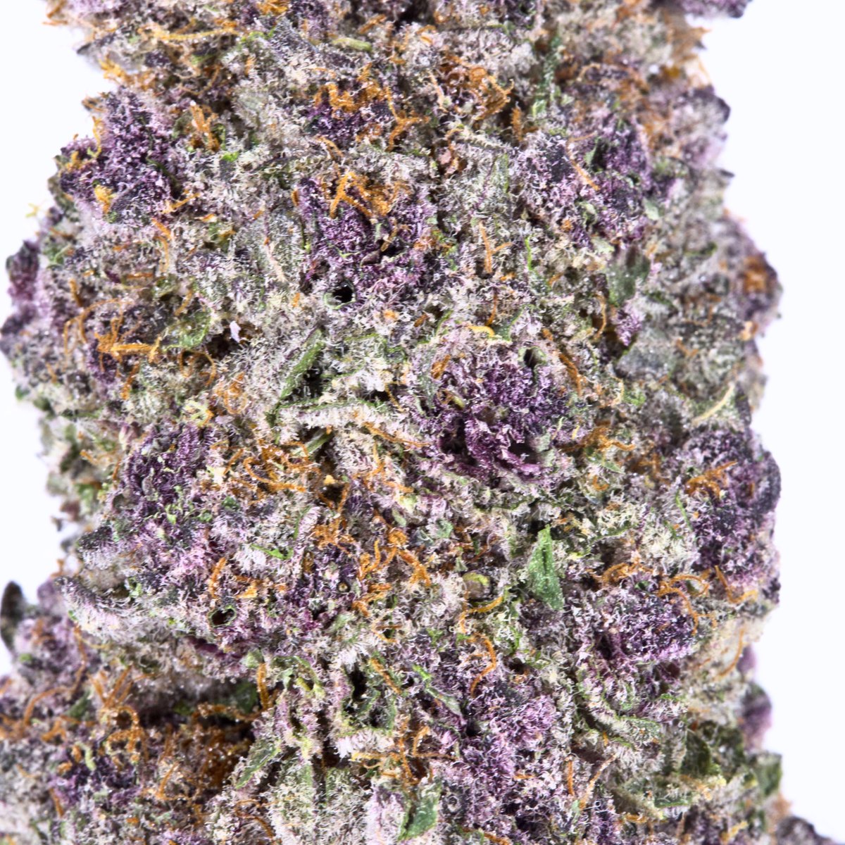 RC_Cultivators's tweet photo. ๐จ New strain just landed: Alien Grapes ๐จ
Sweet grape ๐ meets diesel funk โฝ in this potent hybrid drop.
Now available on the siteโdonโt sleep ๐ฟ๐ฅ
๐ https://t.co/dgducWXHzS
#THCA #AlienGrapes #RoyalCannabis #StrainDrop https://t.co/WPsoBZJzBa