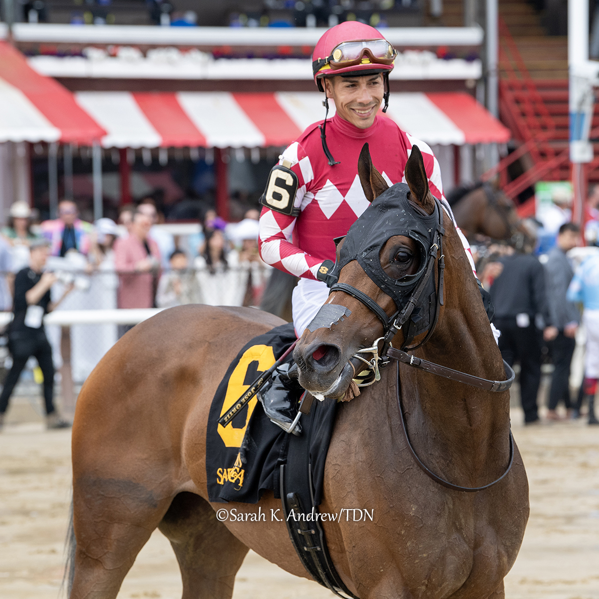 All hail NITROGEN 😍 The ultra-impressive daughter of Medaglia d'Oro has stamped herself the top 3-year-old turf filly of the season stateside...and is now throwing her hat in the ring on the dirt, following a dominant 17-length victory in the off-the-turf GIII Wonder Again