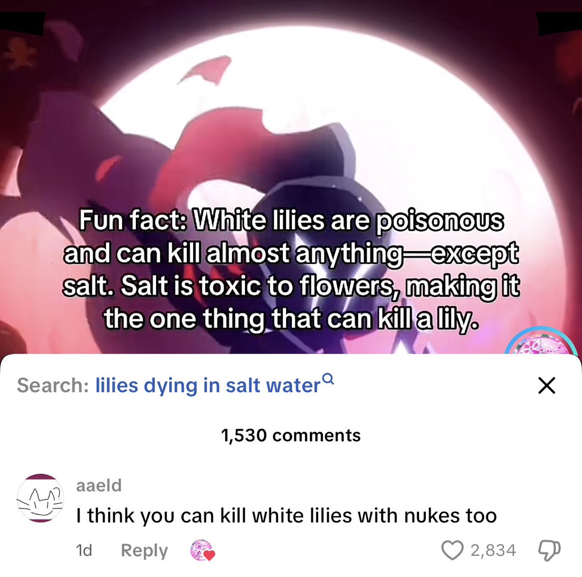 nuclear bomb cookie is releasing soon