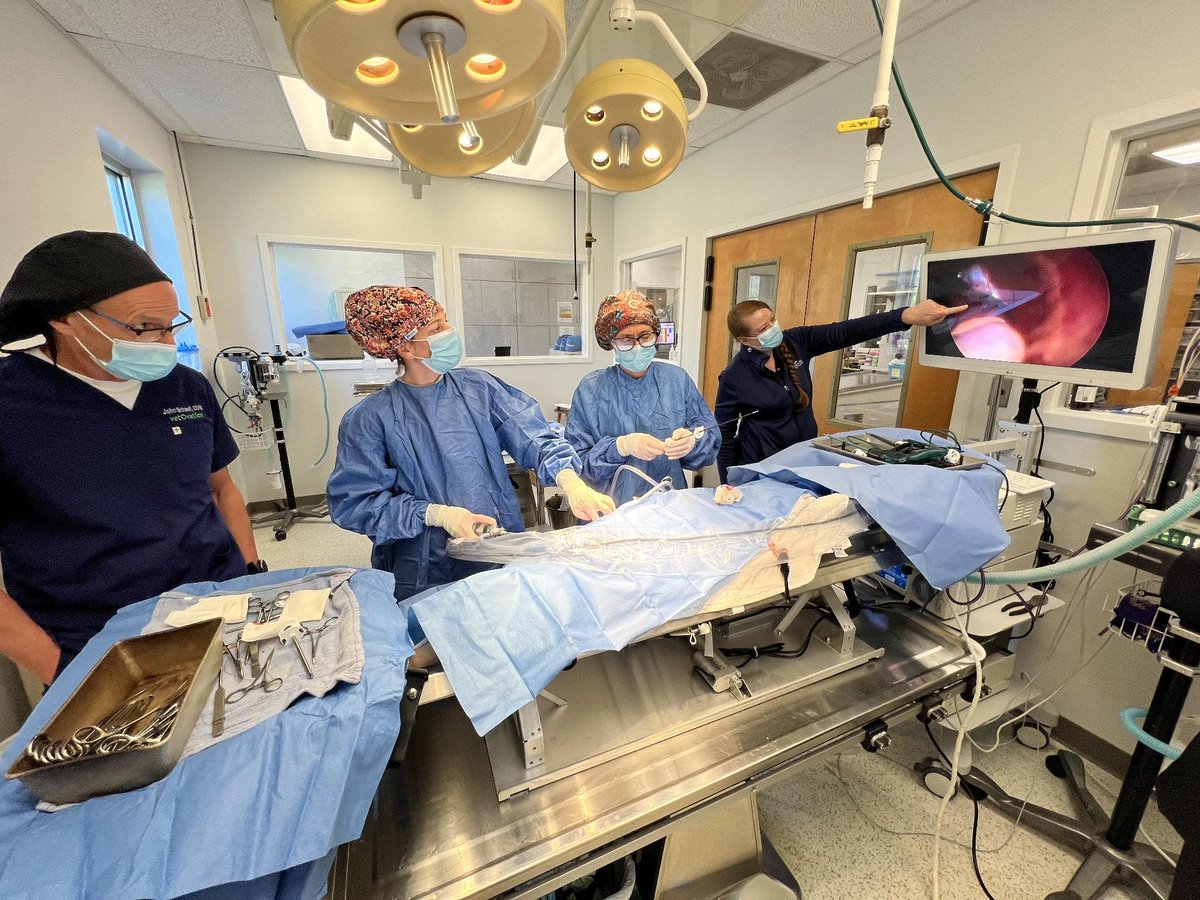 Patterson Veterinary tweet media