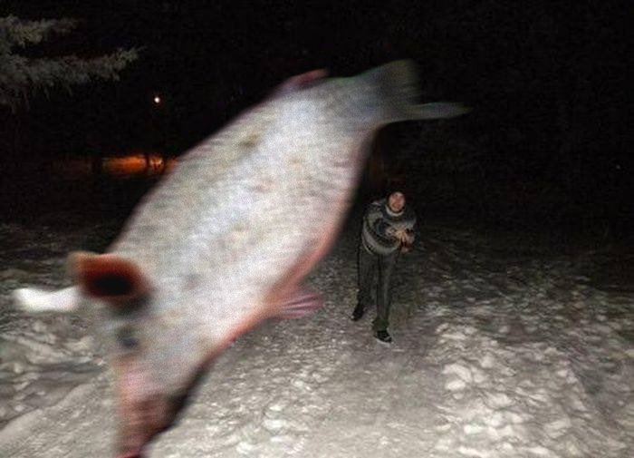 Балакучий гном☆ tweet media