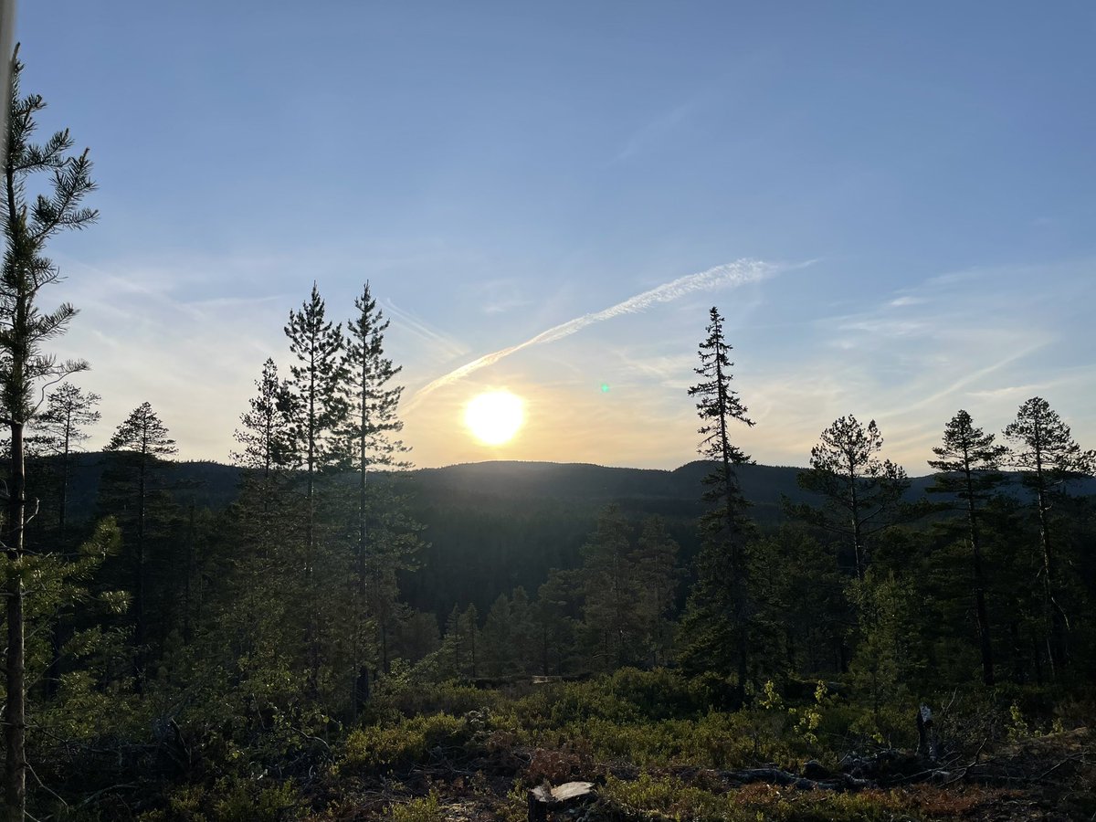 Evening 😊💕Enjoy💕🦋😊🦊