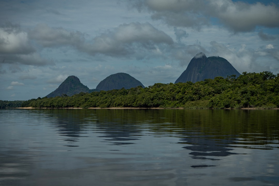 #CONNECTASEnMedios | <a href="/lasillavacia/">La Silla Vacía</a> reseña la investigación sobre cómo el mercurio pone en riesgo la salud en comunidades de Guainía, Colombia. 💧🇨🇴

Un reportaje de <a href="/Mosqueteromedio/">El Cuarto Mosquetero</a> y <a href="/ConnectasOrg/">CONNECTAS</a>.

Mira la nota aquí. ⬇️
lasillavacia.com/silla-amazonia…
