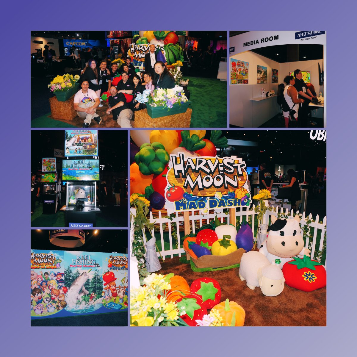 Natsume Inc. tweet media