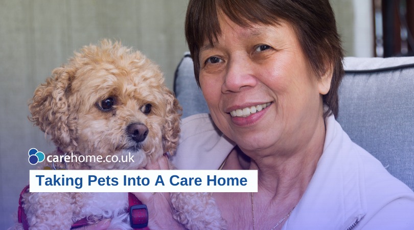 Going into a care home but worried about your pet? Not to worry, in many cases they can come with you... carehome.co.uk/advice/can-i-t…