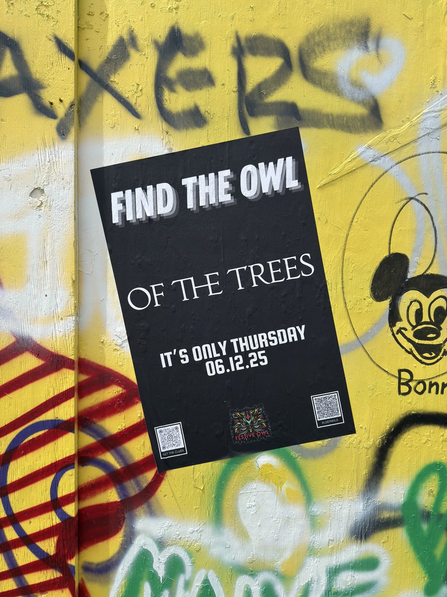 Festive Owl tweet media