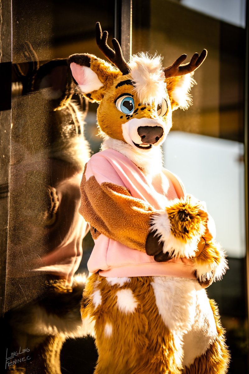 Let me be your sunshine for today ✨️

📸: Linglingfennec 🦋