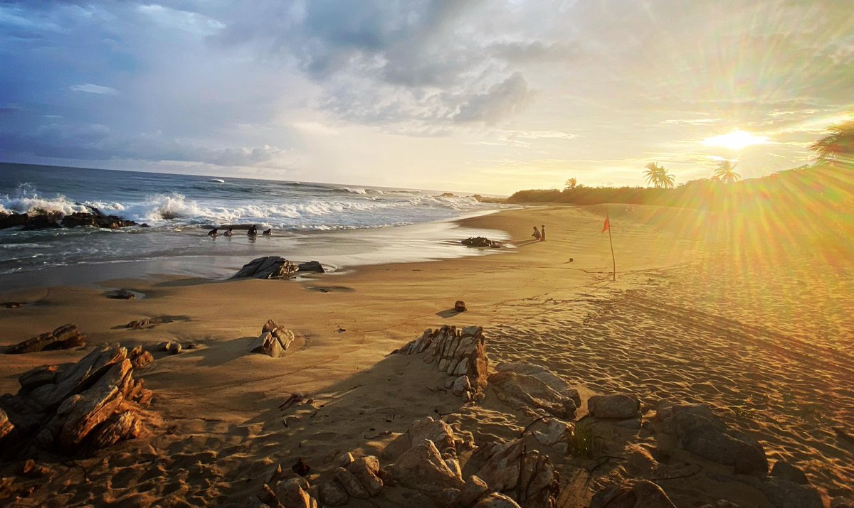 🌿¡Buenas noticias! Las islas de México son ahora una Iniciativa Emblemática de Restauración Mundial 🌍
Su restauración ha traído de vuelta al 85 % de las aves marinas y protege a +300 especies endémicas.
¡Un triunfo para la naturaleza! 💚
🔗 lnk.bio/s/1efc3