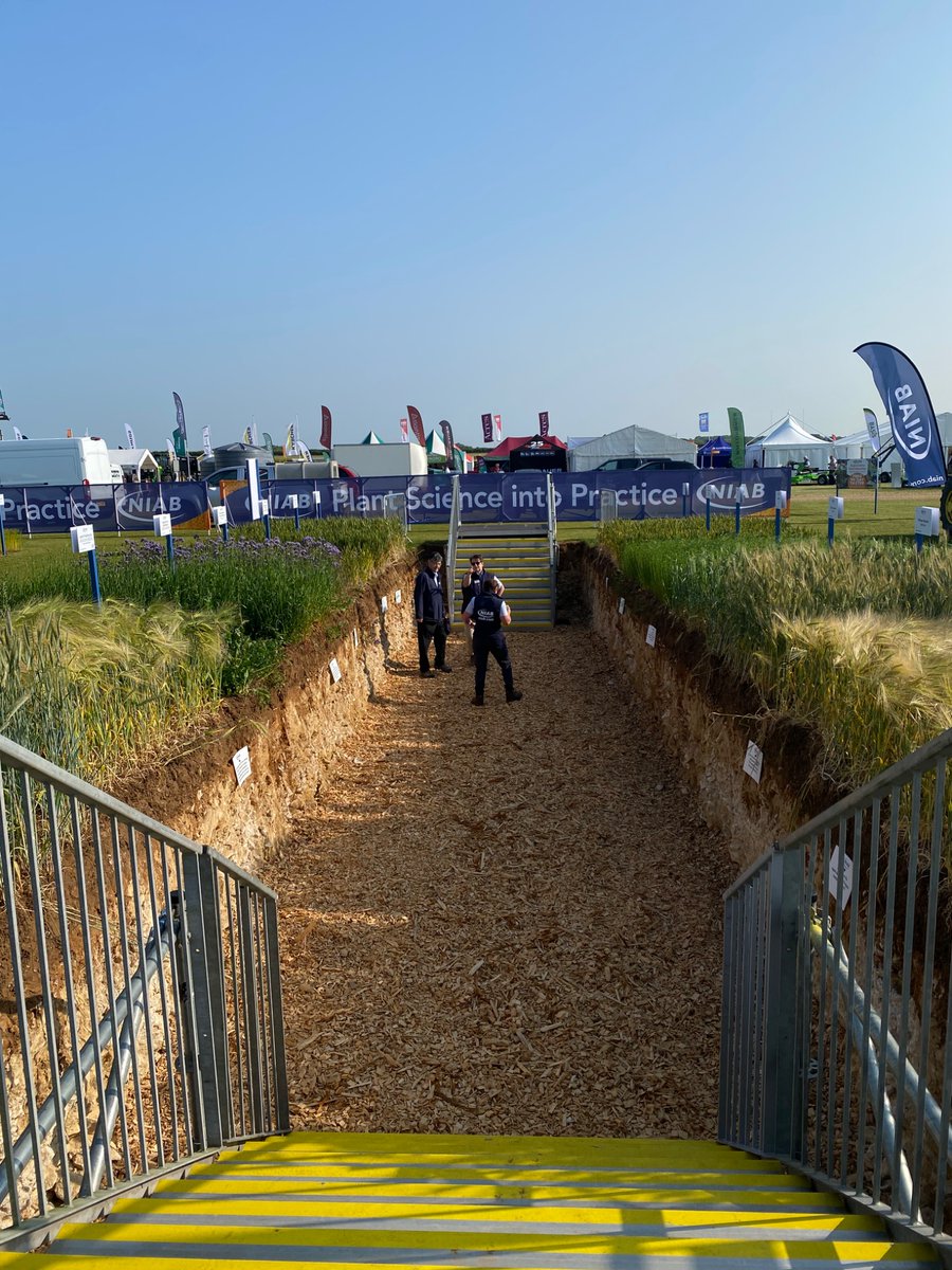 Survived another cracking <a href="/CerealsEvent/">Cereals Event</a> 🌾 <a href="/niabgroup/">Niab</a> ❤️