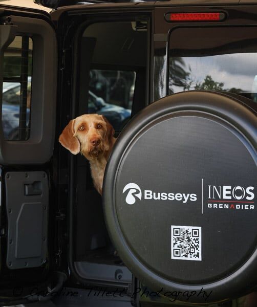 Busseys Norfolk tweet media