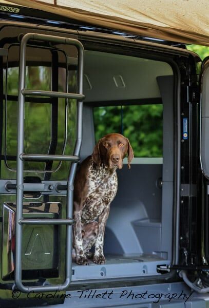 Busseys Norfolk tweet media