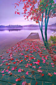 Zain Mubashar (@zain_01m) on Twitter photo #P_PTi ð
±ïžâ 31
<a href="/MNPTi1/">ð.ðððâââðð²ð«ð°ðŠð£ðïžââ Ø§ØšÙسÙÙ
ââð¶</a> <a href="/As_t40/">ð ðððððð«</a>
<a href="/shZ447/">ððððð«ðð ððŠððð£</a> <a href="/TipuS1_/">Tipu Sultan ᎟áµáµáŽŸáµÊ·áµÊ³</a>
<a href="/IAIJ_/">Genghis Khan</a>
@br6n_
@i_k40
<a href="/b364_/">ð
°ïžleena Khan â€ïž</a>
<a href="/553ik/">ðº*ðð à³â¢ðà³ððð.⢠'*ðº.à³</a>
<a href="/skiii7i/">S khan</a>
<a href="/P_PTi3/">ð_ððð¢ _ð ðððððððð</a>
<a href="/8gm_9/">Kërim YaÅŸarÄnãœïž</a>
<a href="/Y22NY/">YASEEN</a>
@Jess_e1_
<a href="/Lu_v_u2/">ðº PARIS ðº</a>
<a href="/__Alan2/">ALAN ð</a>
<a href="/Zain_01M/">Zain Mubashar</a>
<a href="/zubairk00/">zubair Khan</a>
<a href="/zubm9231/">ZUBAIR Muhammad</a>
@b7973600
<a href="/Noshii_786/">ê§ððžðŒð±ð®ð®ð·ê§áµáµáµáµË¢áµáµ</a>
<a href="/P47689530/">Aneeb khan</a>
<a href="/Teller_23360/">ÚÚŸÙٹا کٟتا٠ðŽïž</a>
<a href="/ShaguftaMansoo9/">Mrs.SM</a>
<a href="/Khan_warriors1/">HURAIN KHAN ð«¶</a> <a href="/ARI2_1/">Ariana</a>
<a href="/AZEEMVIRK30/">AZEEM VIRK</a> <a href="/Pk6_1/">P khan</a> #P_PTi ð
±ïžâ 31
<a href="/MNPTi1/">ð.ðððâââðð²ð«ð°ðŠð£ðïžââ Ø§ØšÙسÙÙ
ââð¶</a> <a href="/As_t40/">ð ðððððð«</a>
<a href="/shZ447/">ððððð«ðð ððŠððð£</a> <a href="/TipuS1_/">Tipu Sultan ᎟áµáµáŽŸáµÊ·áµÊ³</a>
<a href="/IAIJ_/">Genghis Khan</a>
@br6n_
@i_k40
<a href="/b364_/">ð
°ïžleena Khan â€ïž</a>
<a href="/553ik/">ðº*ðð à³â¢ðà³ððð.⢠'*ðº.à³</a>
<a href="/skiii7i/">S khan</a>
<a href="/P_PTi3/">ð_ððð¢ _ð ðððððððð</a>
<a href="/8gm_9/">Kërim YaÅŸarÄnãœïž</a>
<a href="/Y22NY/">YASEEN</a>
@Jess_e1_
<a href="/Lu_v_u2/">ðº PARIS ðº</a>
<a href="/__Alan2/">ALAN ð</a>
<a href="/Zain_01M/">Zain Mubashar</a>
<a href="/zubairk00/">zubair Khan</a>
<a href="/zubm9231/">ZUBAIR Muhammad</a>
@b7973600
<a href="/Noshii_786/">ê§ððžðŒð±ð®ð®ð·ê§áµáµáµáµË¢áµáµ</a>
<a href="/P47689530/">Aneeb khan</a>
<a href="/Teller_23360/">ÚÚŸÙٹا کٟتا٠ðŽïž</a>
<a href="/ShaguftaMansoo9/">Mrs.SM</a>
<a href="/Khan_warriors1/">HURAIN KHAN ð«¶</a> <a href="/ARI2_1/">Ariana</a>
<a href="/AZEEMVIRK30/">AZEEM VIRK</a> <a href="/Pk6_1/">P khan</a>