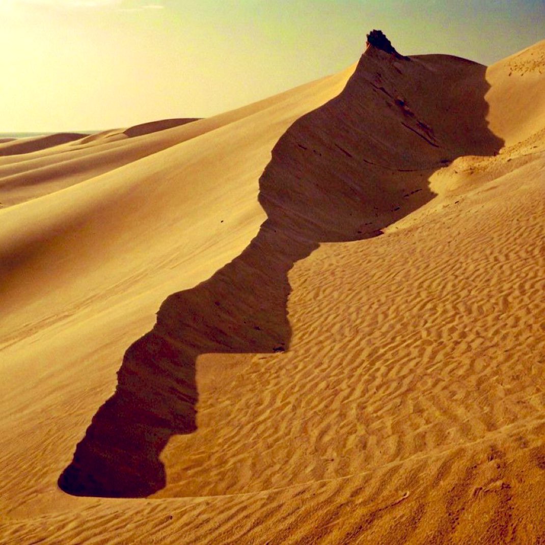 Pour clore le débat ✍️
Le Maroc a toujours soutenu la Palestine, sans condition ni calcul.
Mais jamais au prix de son intégrité territoriale.
On ne découpe pas un pays pour en défendre un autre.
Le Sahara est marocain et Gaza mérite solidarité, pas hypocrisie ni trahison.
Solo 🇲🇦