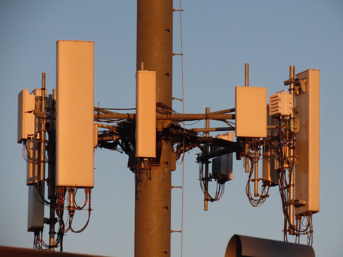 cast (@raccooncast) on Twitter photo 