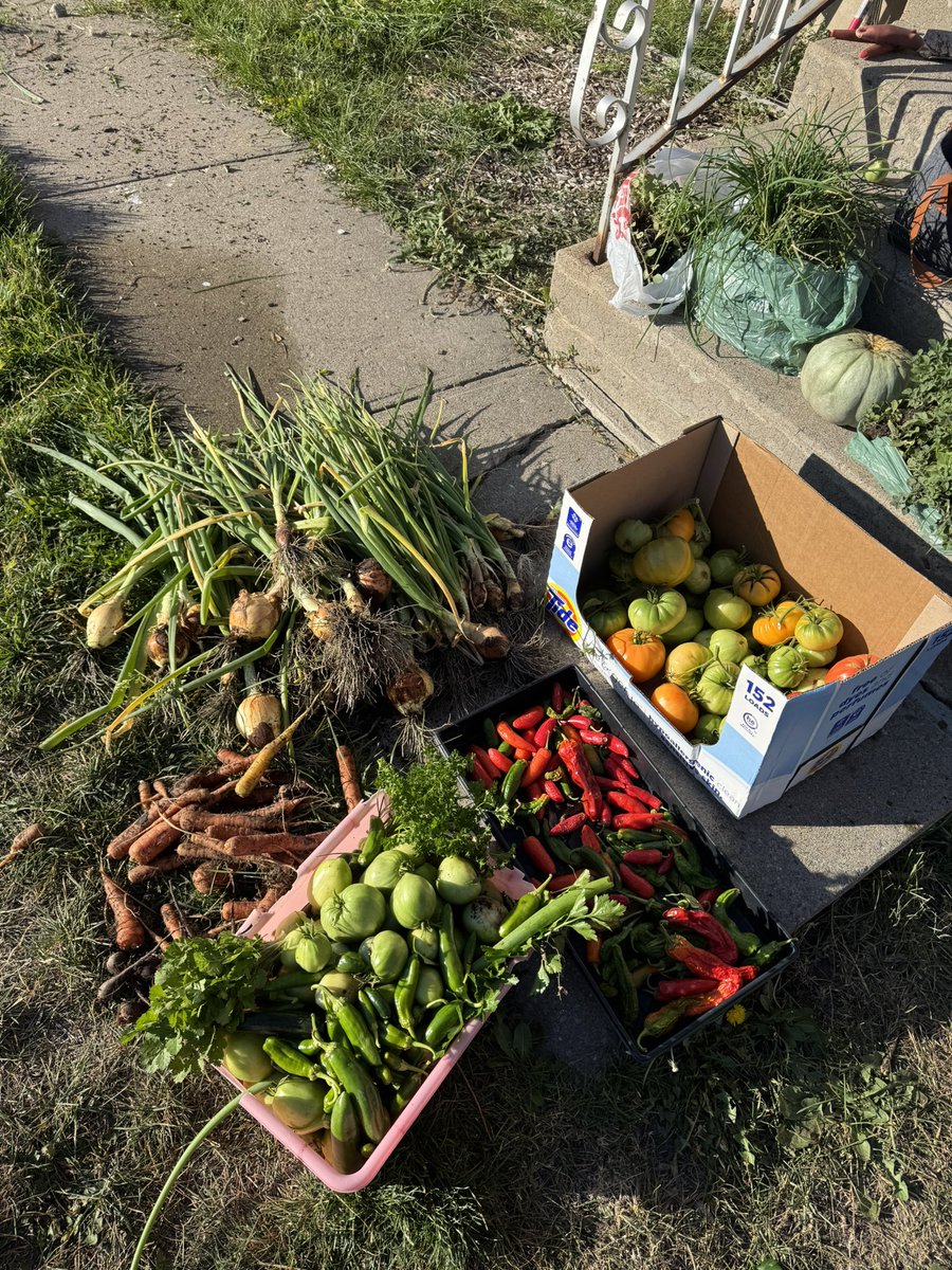 LaCeeJimenez's tweet photo. @HouseAgGOP SNAP-Ed is working—here’s proof:
https://t.co/Pqwj91gjnR
Taxpayers deserve smart solutions. SNAP-Ed builds self-reliance, connects families to U.S. ag, and supports MAHA.

Cutting it isn’t savings—it’s missing an investment opportunity. @CongressmanGT @JohnBoozman @SenateAgGOP https://t.co/zKvwW1luIK