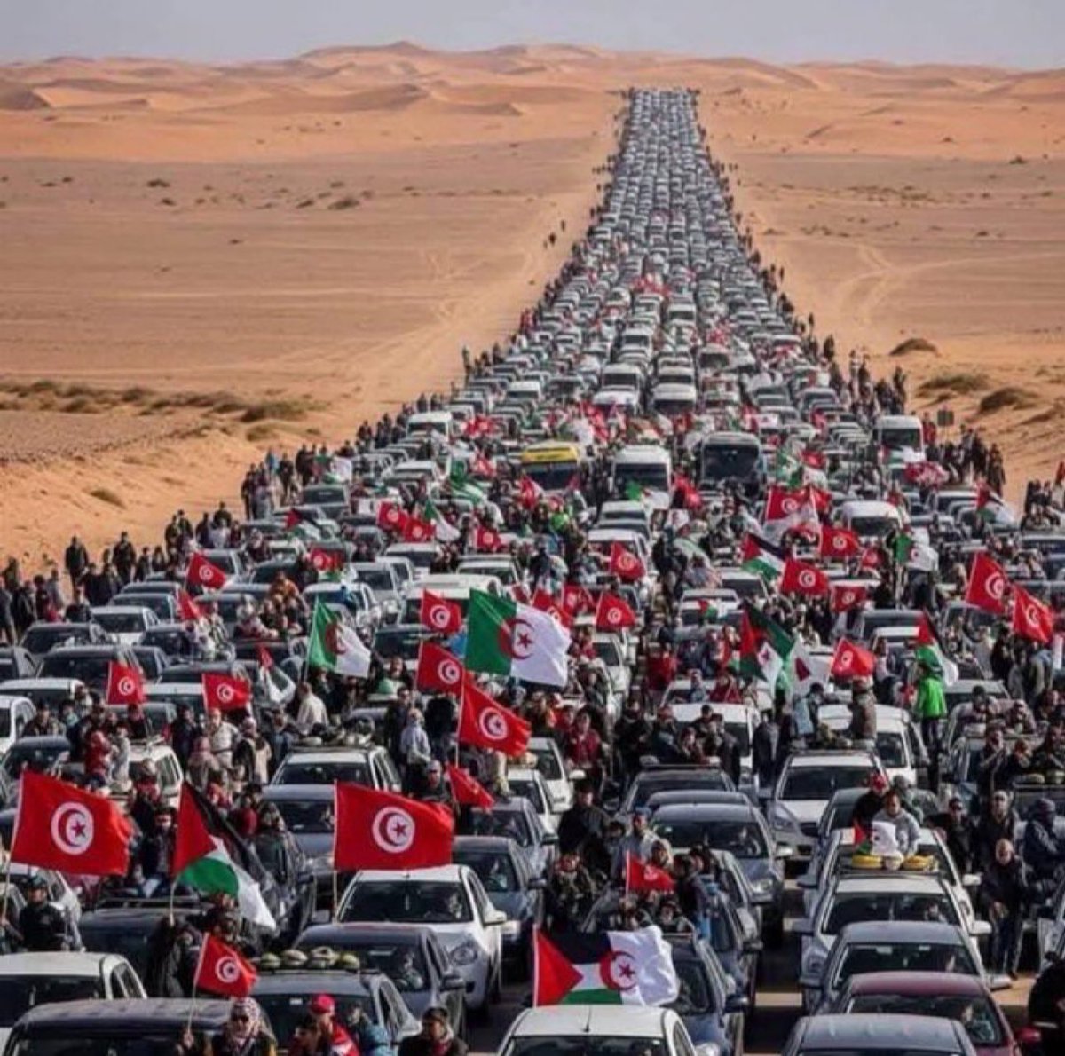 ✨
Imam Ali’s sword was for the oppressed.  
Our voices must be too✊

#LiveLikeAli✨
#It_Is_Too_Late 
#Gaza #GazaGenocide‌ 
#غزه_تموت_جوعا #غزه_تباد
#ایران #Iran #Hamas #Syria
#غزه_الفاضحه #Yemen #freePalestine