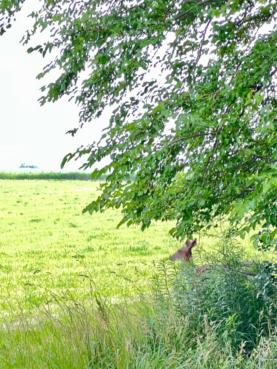 eadams_eadams's tweet image. and there you are
true colors always flare
scraping my soul
with every word
my lesson of inadequacy 
not yet complete
a continuous shaping
of me

#vss365 #scrape #shape