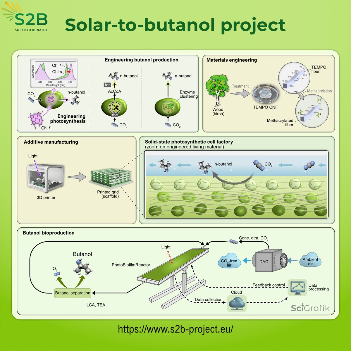 Sunlight into fuel? That’s the goal of S2B – Solar to Butanol, an 🇪🇺 #HorizonEurope project (s2b-project.eu) turning light into renewable n-butanol using engineered microbes + artificial leaves. Thank you for using <a href="/SciGrafik/">Dmitry Shevela 🇺🇦</a> 🇸🇪 to visualize this innovation!
#SolarFuels