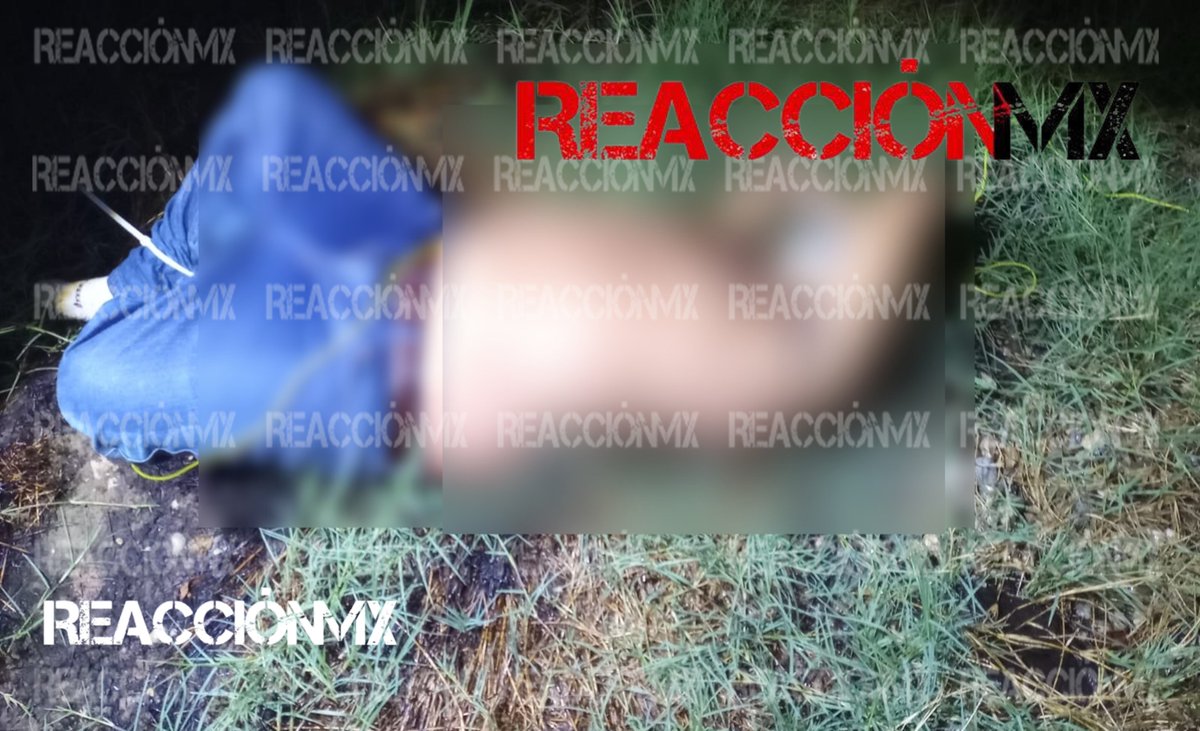 #RojasRMx🚨|| Hallan el cuerpo encintado de un masculino entre la maleza de un predio, a orilla de la carretera #Villahermosa a Luis Gil Pérez, a la altura de la ranchería Ixtacomitán 2da. sección de Centro.

#Reacciónmx #Centro 📸