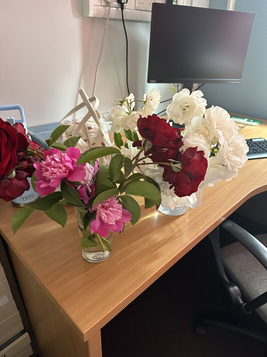 Laura Barker (Clarke) (@lauraclarke_rd) on Twitter photo When a patient gives you flowers freshly trimmed from her garden 💐 reflecting and thinking it’s not quite <a href="/careopinion/">Care Opinion</a> - better I think 😇🥰 <a href="/RDaSHDoncPHND/">Doncaster Physical Health & Neurodiversity</a> When a patient gives you flowers freshly trimmed from her garden 💐 reflecting and thinking it’s not quite <a href="/careopinion/">Care Opinion</a> - better I think 😇🥰 <a href="/RDaSHDoncPHND/">Doncaster Physical Health & Neurodiversity</a>