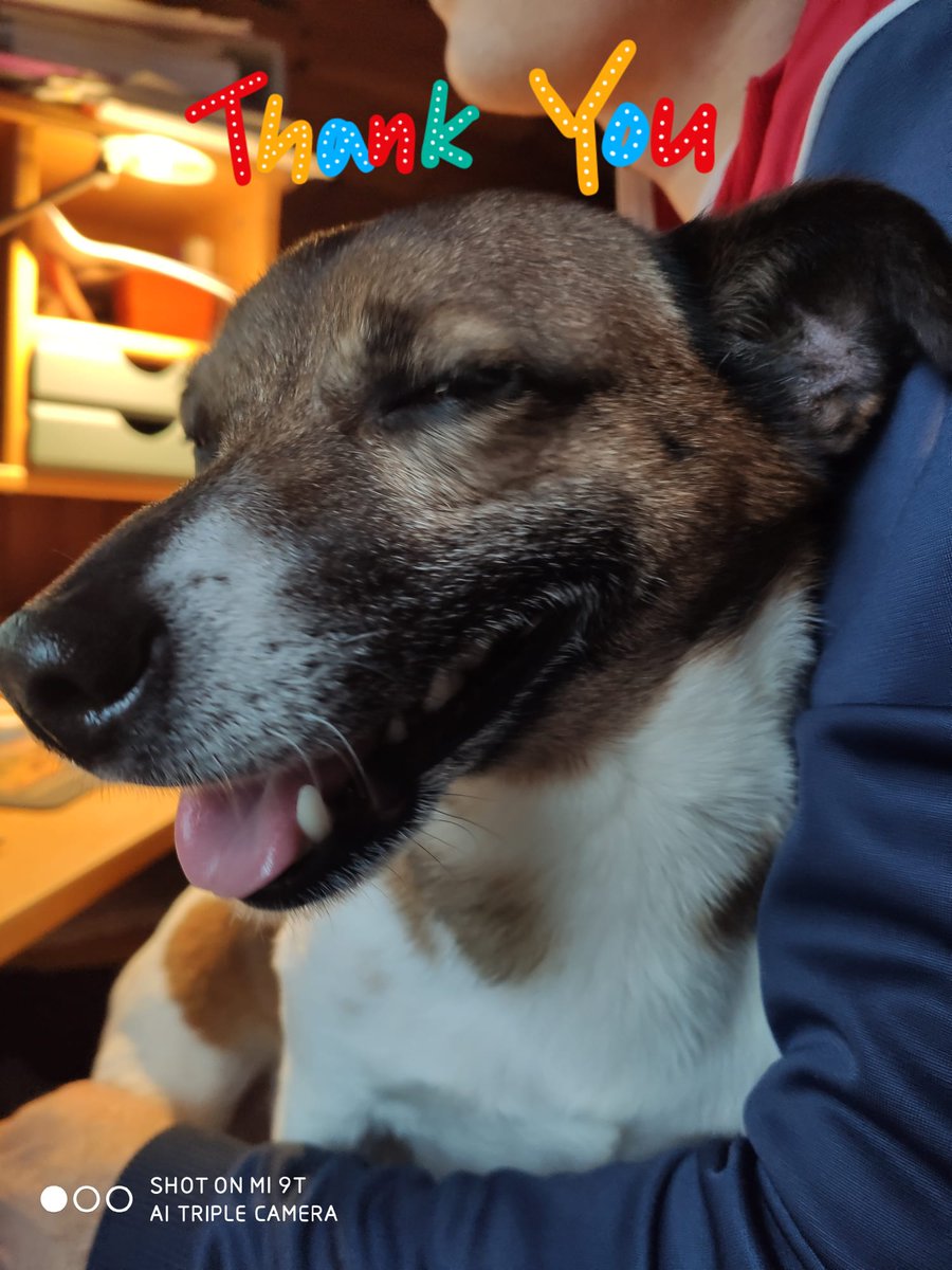 SuzyYoung24's tweet photo. #ThrowbackThursdat mine real mum thanking foster mum Suzy for taking me for a whole year so her n dad can gad a bout down under ๐ฆ๐บ Fink me lucked out well wiv my pawrents & aunty suzy di'unt me pals
Oreo๐พ๐ https://t.co/j5Wk714X5g