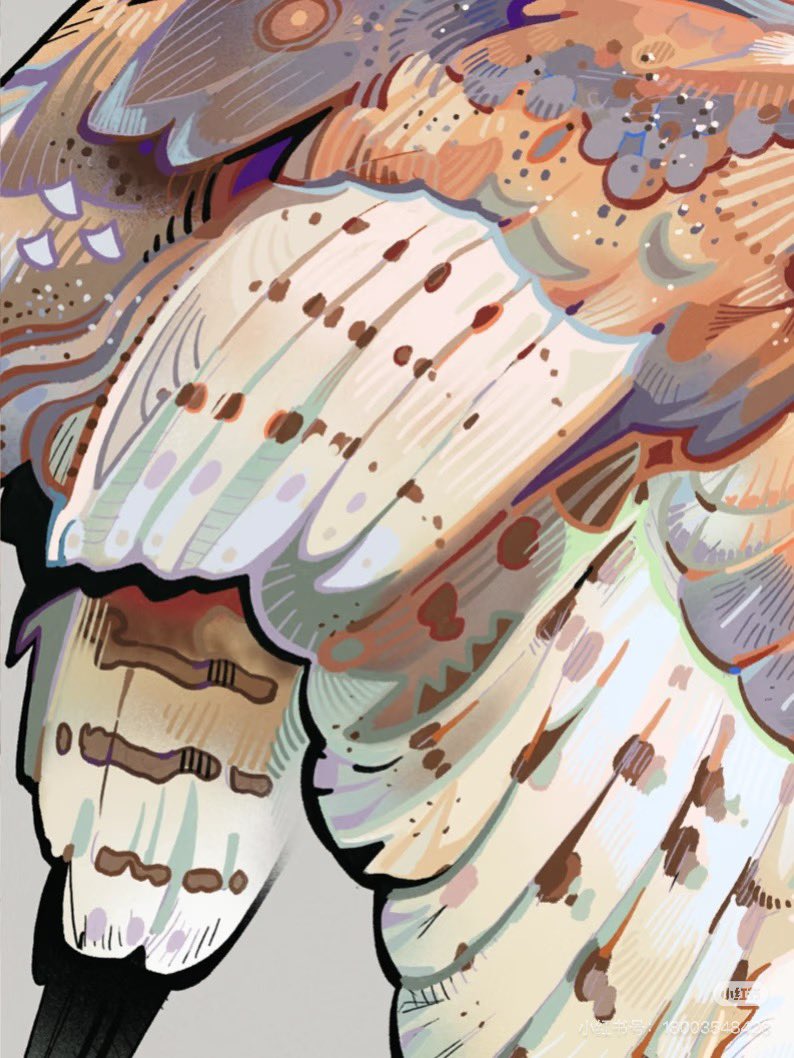 Apple-core birdy🐦🍎

Barn owls are really cuute😢

#birdart #barnowl #illustration #animalart #fantasyart #digitalpainting