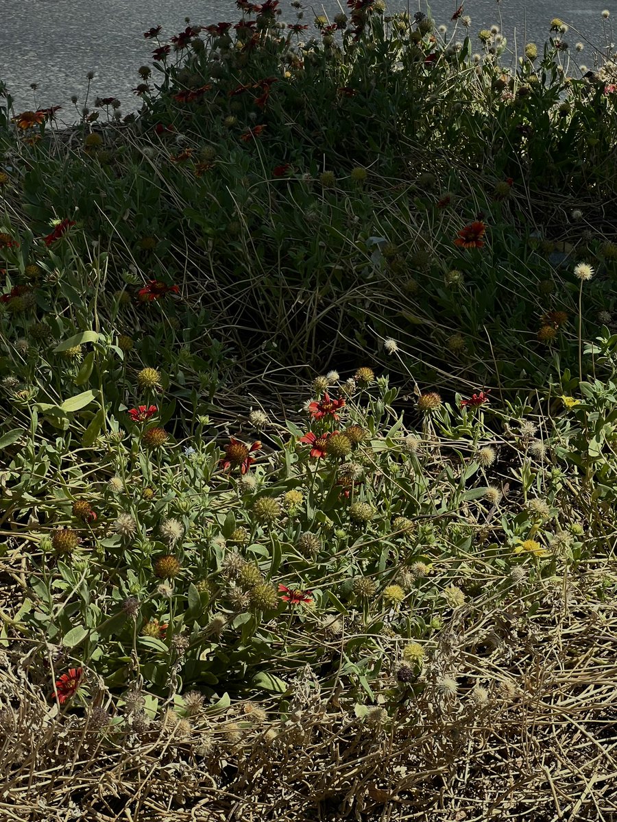 هذا الاسبوع