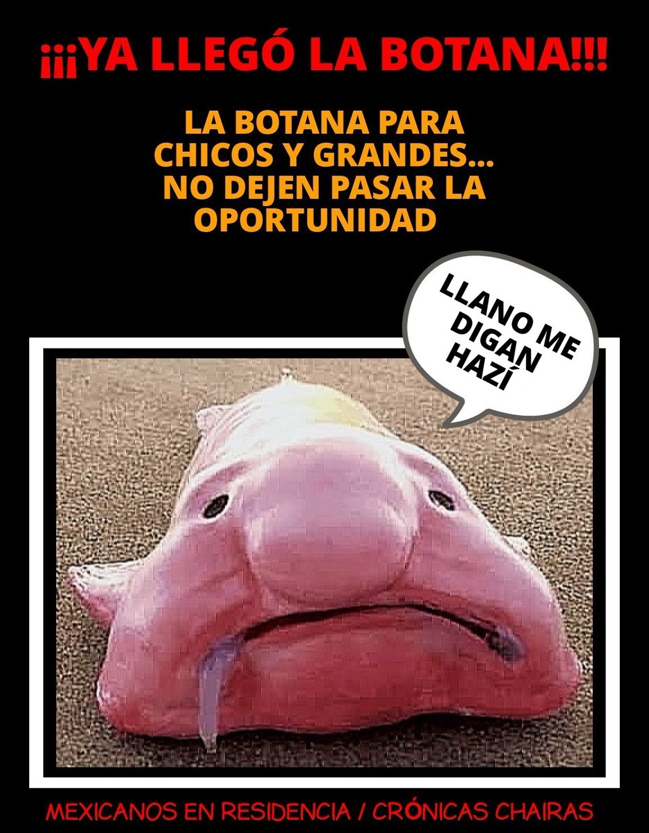 <a href="/GuacamayanLeaks/">Guacamaya Leaks</a> <a href="/PartidoMorenaMx/">Morena</a> Para librarla, este pendejo va a tener que entregar a su papá.