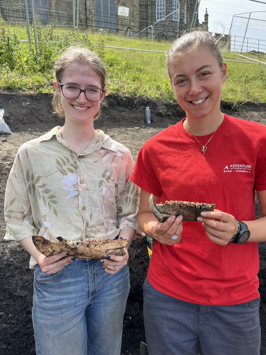 DU Auckland Castle Excavations tweet media