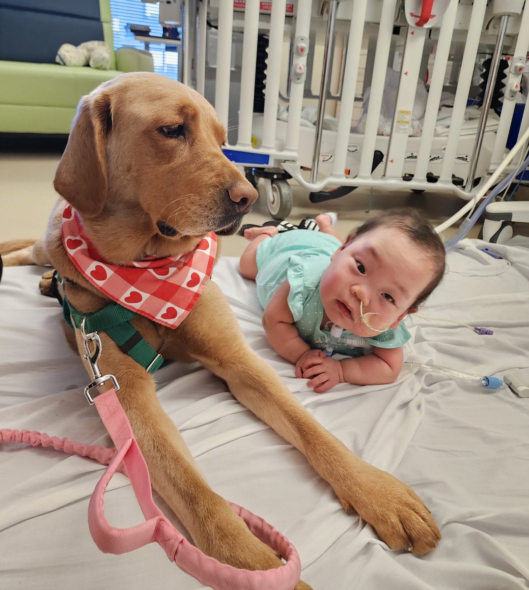 We’re in need of baby-specific items for our tiniest patients. Help us provide comfort and support with a gift from our Amazon Wish List: amazon.pulse.ly/n12r56d2x8