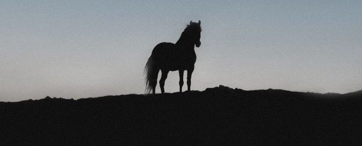 “Göç benim içimde, 
nereye gitsem varamadığım yerdeyim.”