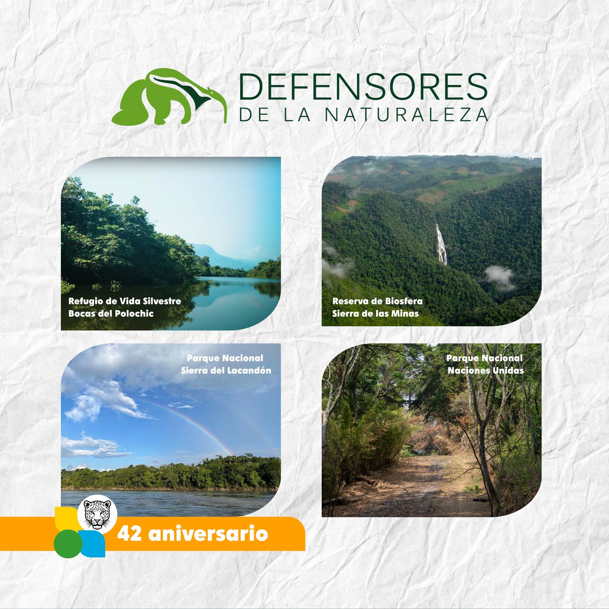 ¡42 años defendiendo lo más valioso! 
Hoy celebramos años de trabajo incansable por la naturaleza, las comunidades y la vida. Cada hectárea conservada, cada especie protegida y cada sonrisa refuerza nuestro propósito Conservar la naturaleza hoy para asegurar su existencia mañana