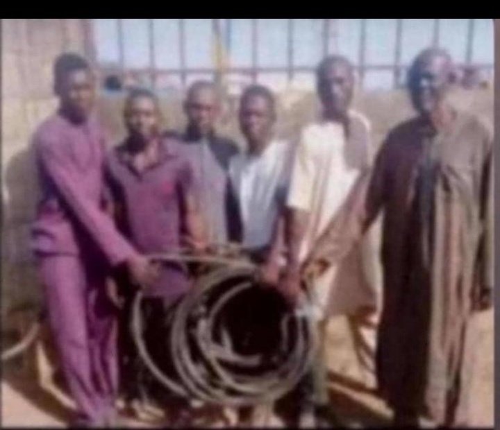 Crtquinn's tweet image. Wire go reach everybody Na time