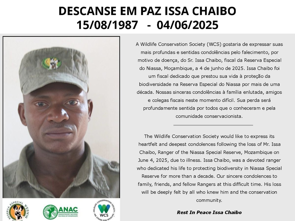 WCS gostaria de expressar suas mais profundas e sentidas condolências pelo falecimento, por motivo de doença, do Sr. Issa Chaibo, fiscal da Reserva Especial do Niassa, Moçambique, a 4 de junho de 2025.