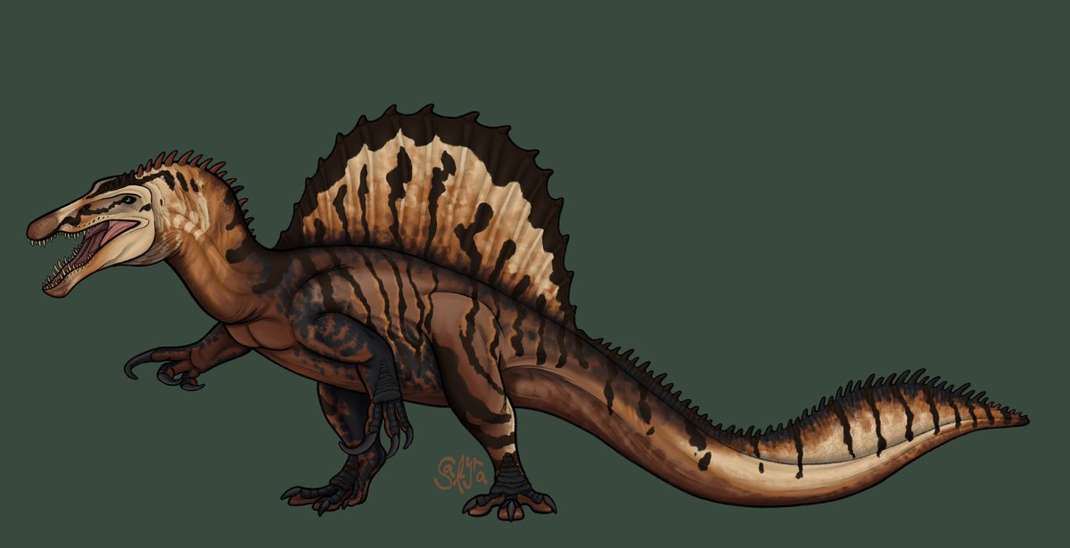Spino commission! 
#Spinosaurus #dinosaur #art #digitalart #paleoart #commission