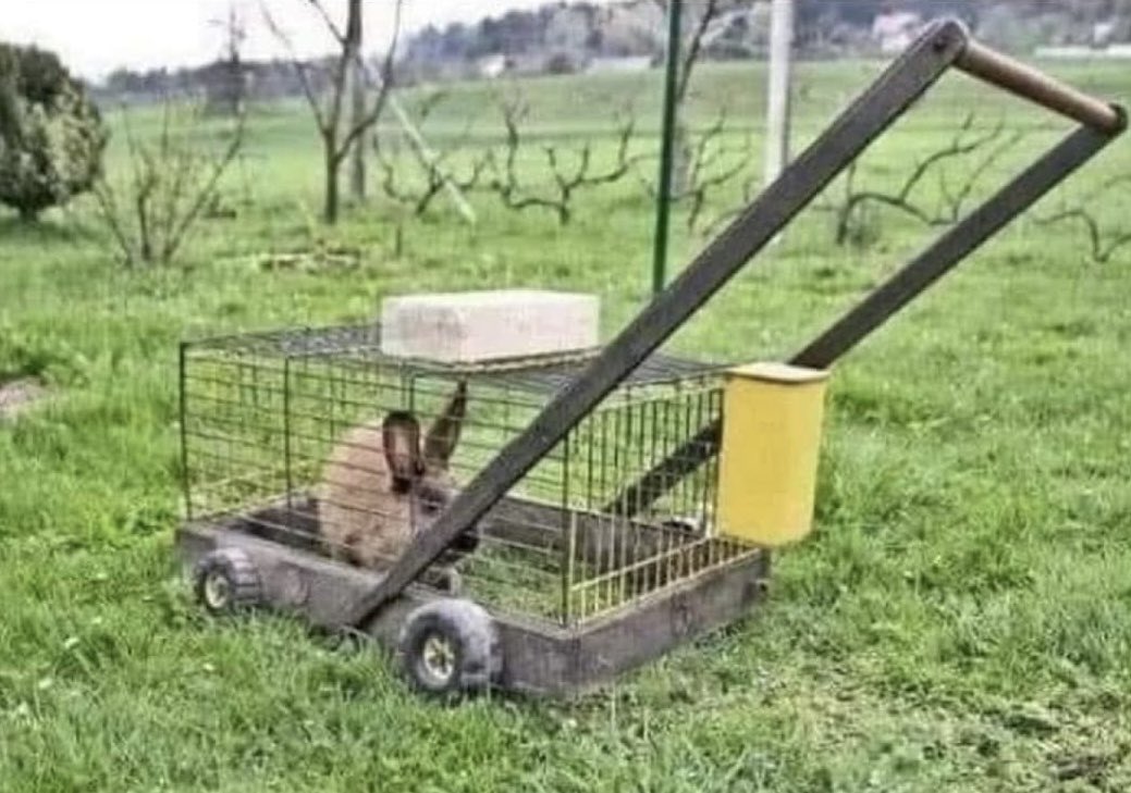 R.G. Ryan tweet media