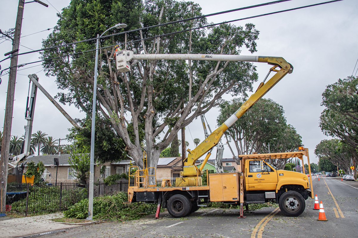BSSLosAngeles's tweet image. Thanks to our Urban Forestry Division for your great work last week in #CD9!
UFD Crew 081 trimmed numerous trees on E 92nd Street between San Pedro and Wall. These projects are vital for maintaining the health of LA's tree canopy. 🌳
#AtYourService
@currendpricejr @LACityDPW
