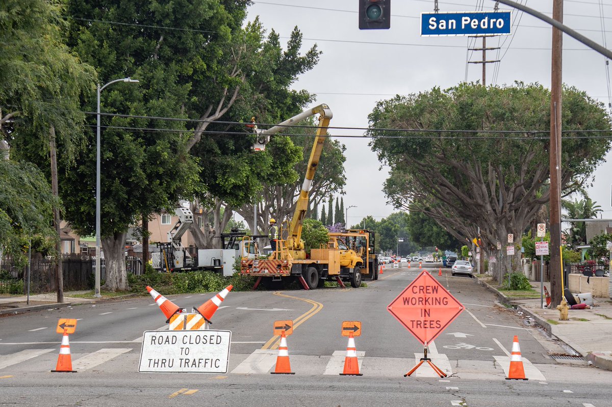 BSSLosAngeles's tweet image. Thanks to our Urban Forestry Division for your great work last week in #CD9!
UFD Crew 081 trimmed numerous trees on E 92nd Street between San Pedro and Wall. These projects are vital for maintaining the health of LA's tree canopy. 🌳
#AtYourService
@currendpricejr @LACityDPW