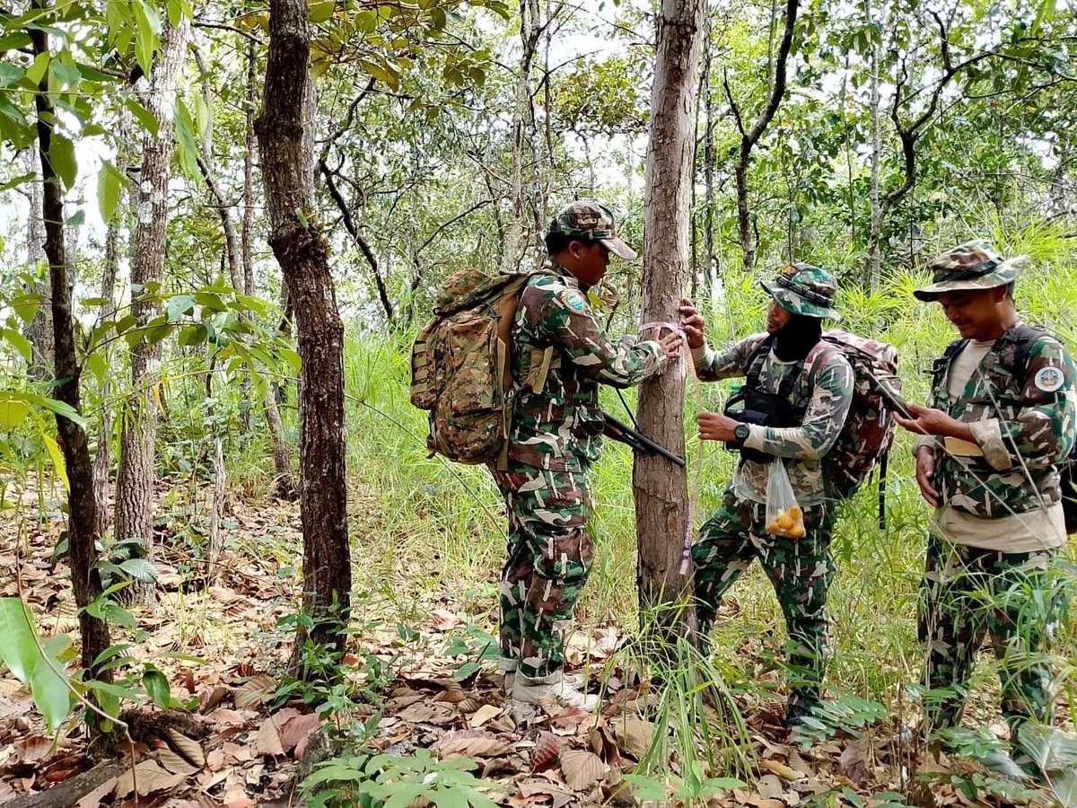 กรมอุทยานแห่งชาติ สัตว์ป่า และพันธุ์พืช tweet media