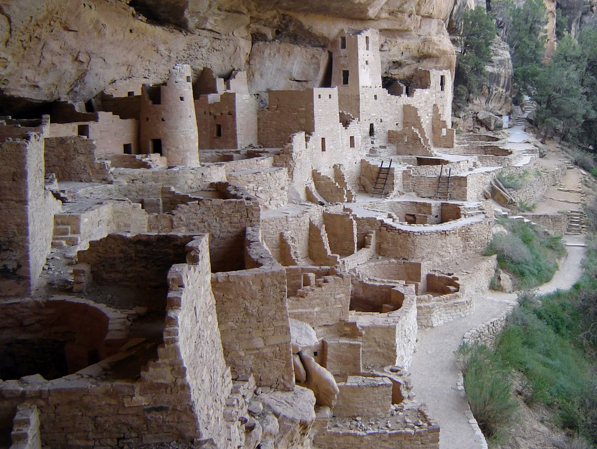 Will Smit tweet media