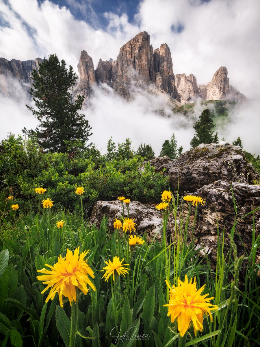 Misty mornings and summer blooms at Gardena Pass 🌼⛰️
This scenic pass sits at 2,136 m and is part of the legendary Sella Ronda route – a paradise for hikers, cyclists, and skiers alike. ✨
#GardenaPass #Dolomites #Morning #Alps #italy #italia #Nature #landscape #photography