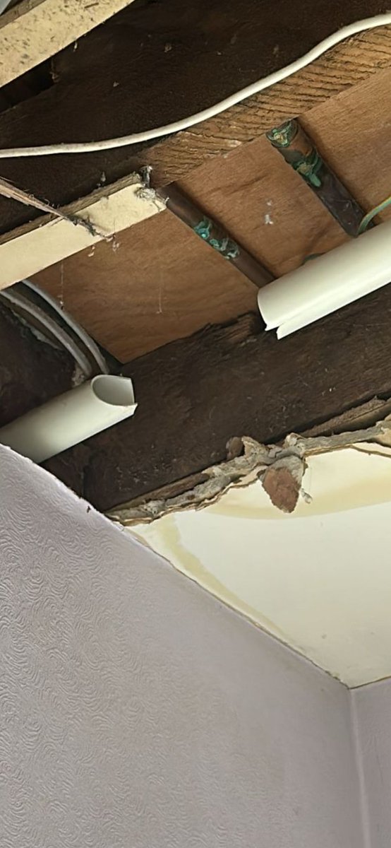 In just one week, we’ve supported Riverside tenants facing:
🚫 No heating/hot water
🚪 A door that blows open
💧 Ongoing leak
🚽 Plumber with no tools
⚠ Ceiling collapsing
This is one landlord. One week.
Tenants deserve better.
#RiversideFail #HousingCrisis #TenantsUnion