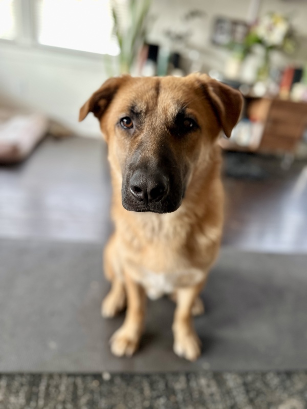 Off the Clock tweet media