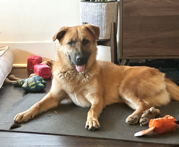 Off the Clock tweet media