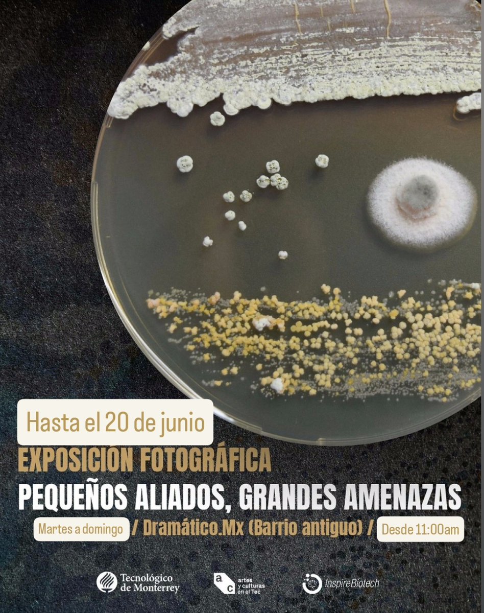 🦠📷 Hasta el 20 de junio
Exposición fotográfica "Pequeños aliados, grandes amenazas"
Una mirada al fascinante mundo microbiano.
🗓️ Martes a domingo
📍dramático.Mx (Barrio Antiguo)
🕚 Desde las 11:00 am