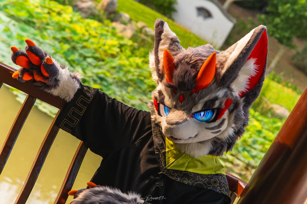 LeokkSwift2333's tweet image. “暂别夏枝,青衿志远。”
"Farewell to summer boughs, yet scholars' dreams take flight."
#FursuitFriday
🐺
📷:@WenstLing 的男人!(找不到推特号了w)
🪡:@smallyuXP
🐉
📷:@D_seveN07
🪡:@ErqingZ